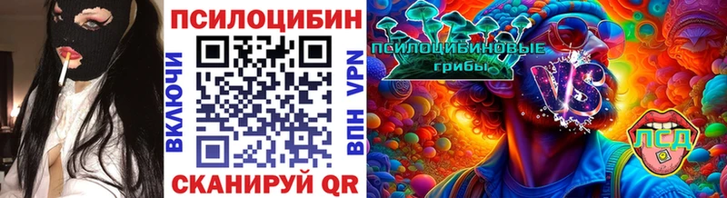 наркота Микунь Псилоцибиновые грибы Cubensis