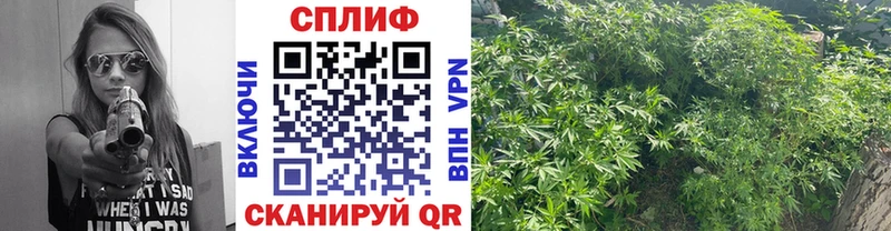 Бошки Шишки LSD WEED  купить наркоту  Микунь 